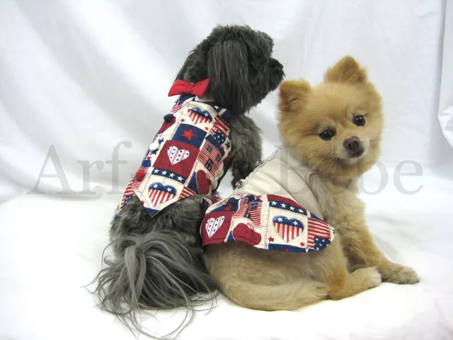 Two small dogs wearing matching handmade patriotic patchwork vests