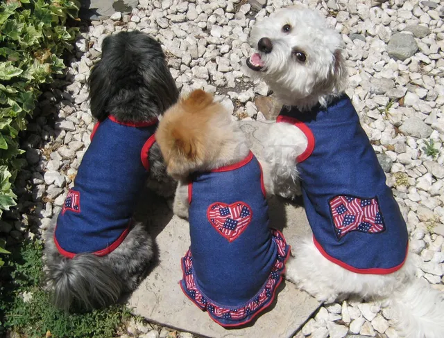 Three dogs wearing handmade patriotic denim apparel with American flag details