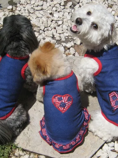 Three dogs wearing handmade patriotic denim apparel with American flag details